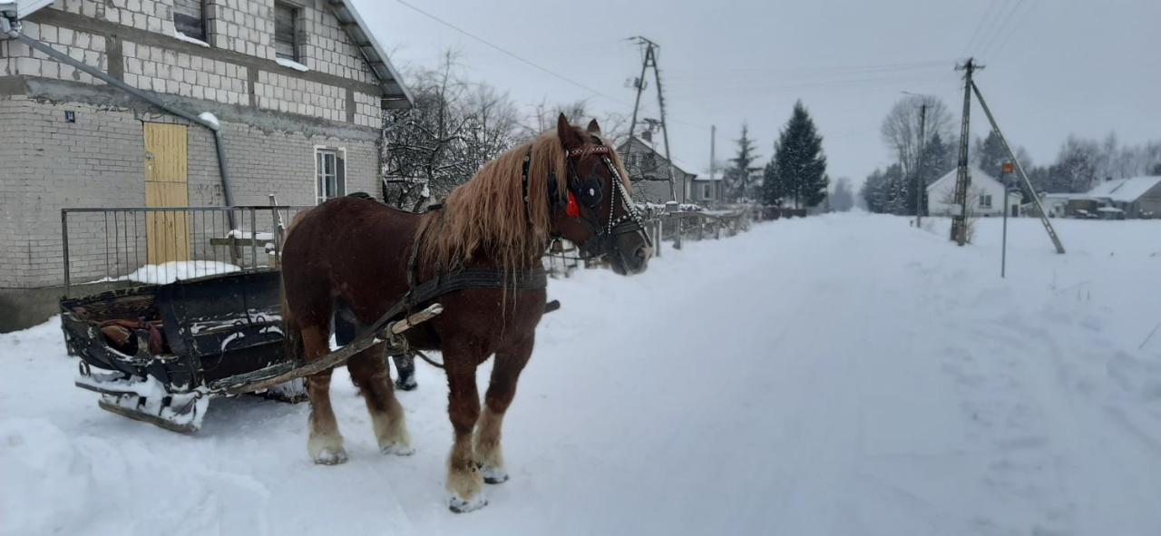 Dom Piotra Lägenhet Goniadz Exteriör bild
