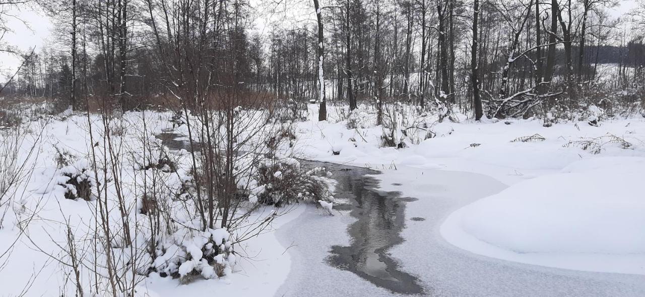 Dom Piotra Lägenhet Goniadz Exteriör bild
