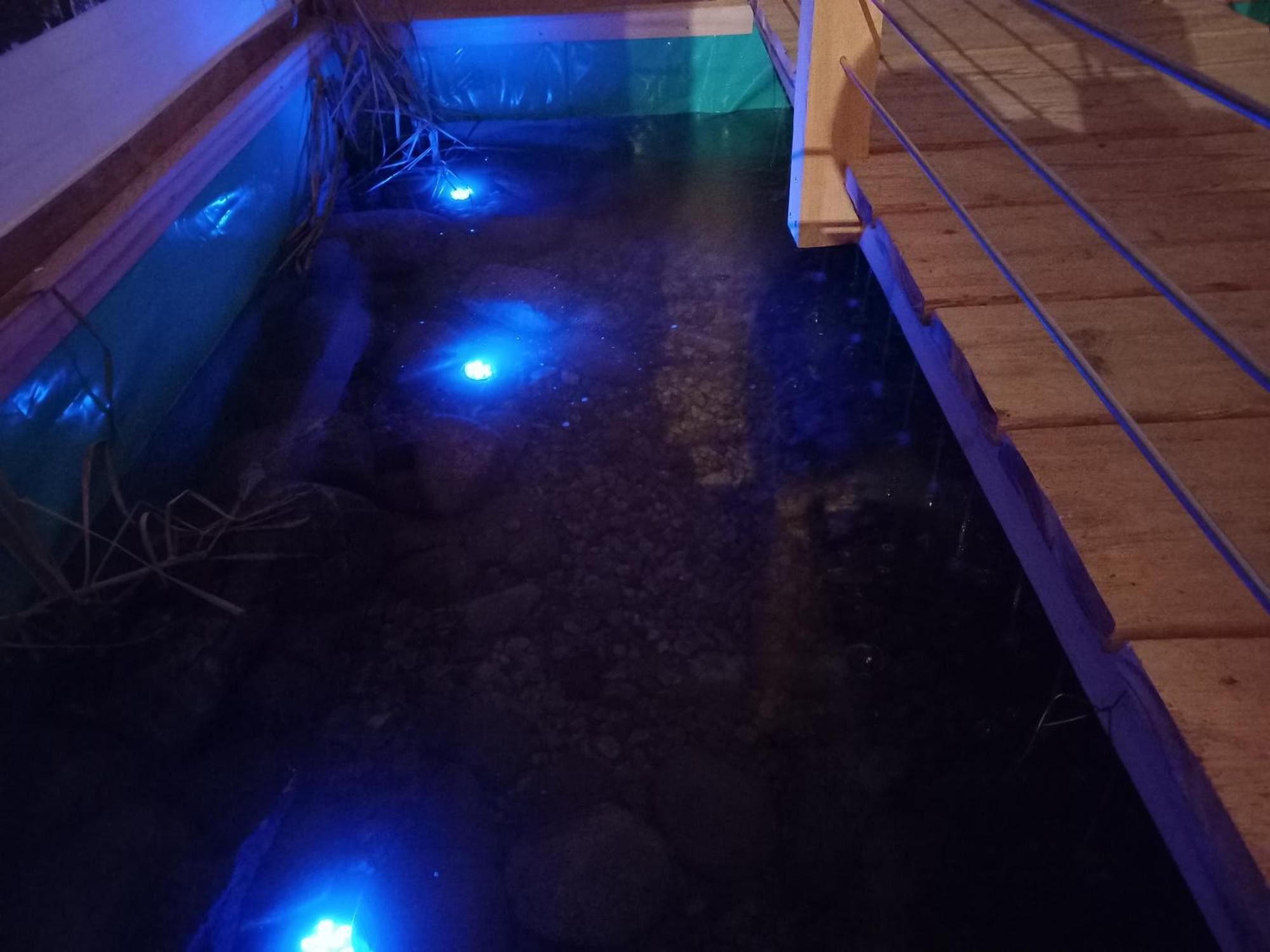 Dom Piotra Lägenhet Goniadz Exteriör bild